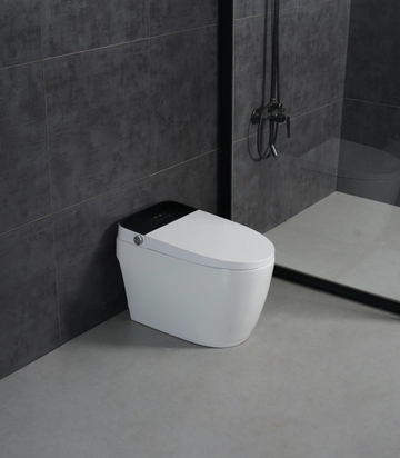 Bồn cầu thông minh chính hãng ssww cao cấp WICO716H