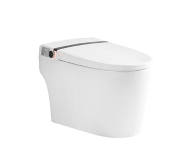 Bồn cầu vệ sinh thông minh thông minh cao cấp chính hãng SSWW cao cấp WICO715S